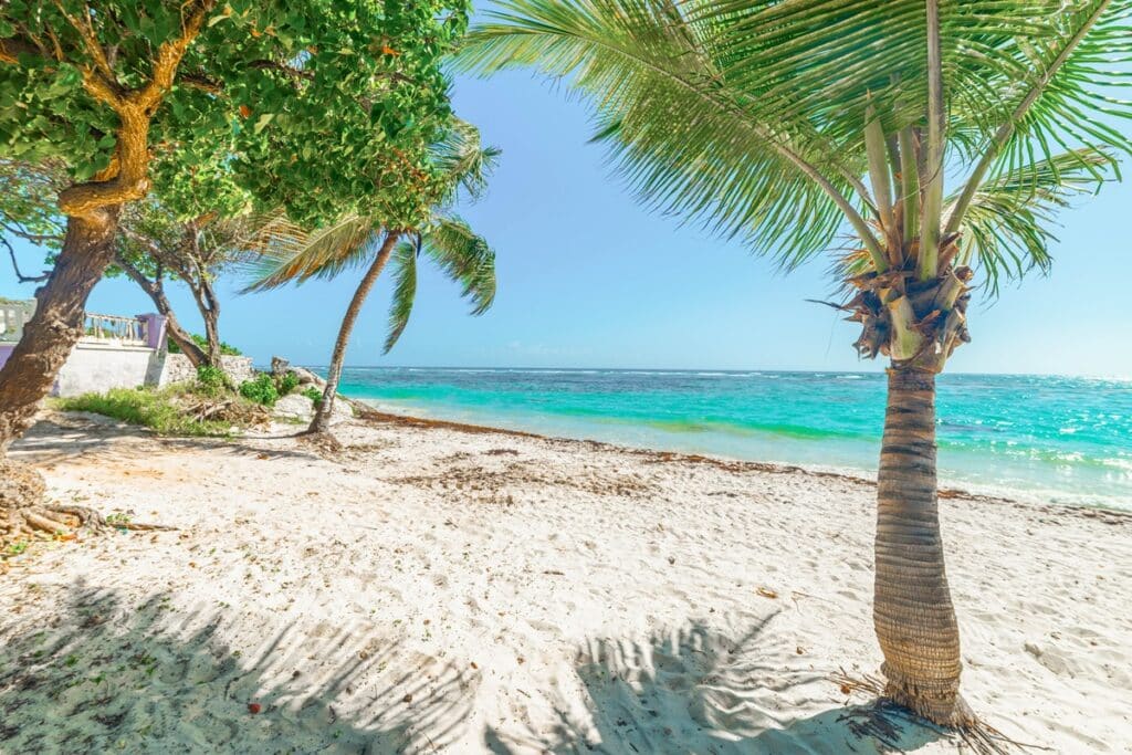 plage des Raisins Clairs à Saint François