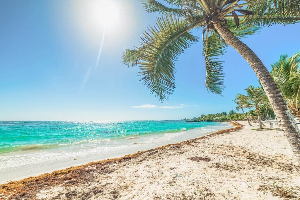 plage des Raisins Clairs à Saint François