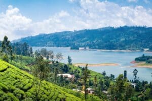 Que voir au Sri Lanka