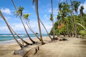 plus belles plages de la Dominique