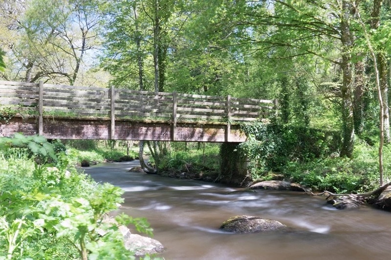 pont de bois sur la rivière