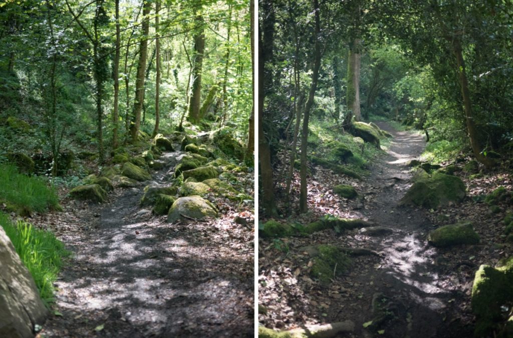 sentier de randonnée