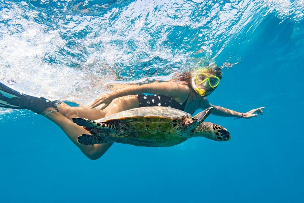 nager avec une tortue aux Caraïbes