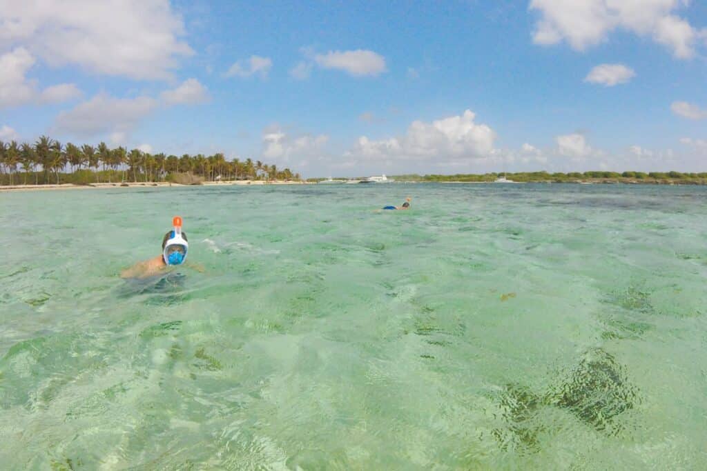 petite terre snorkeling