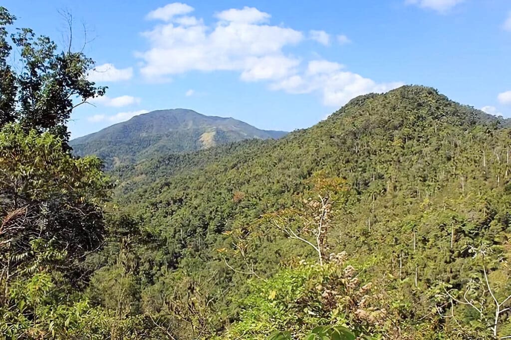 Pico Turquino