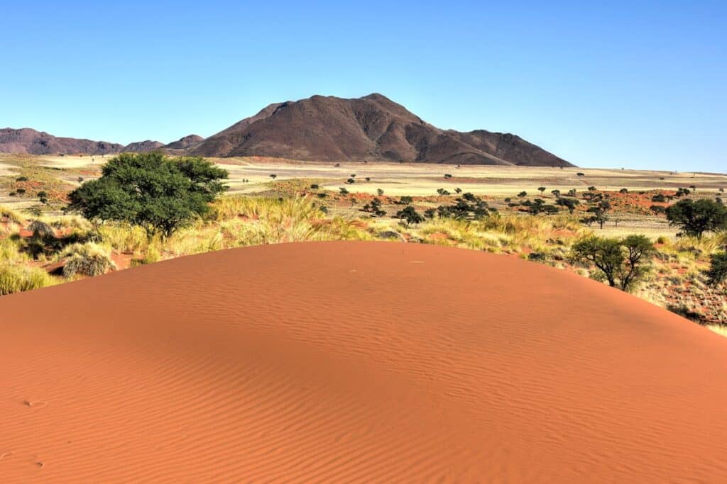 réserve naturelle NamibRand