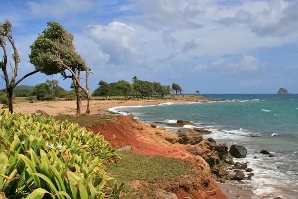 la Pointe Allègre