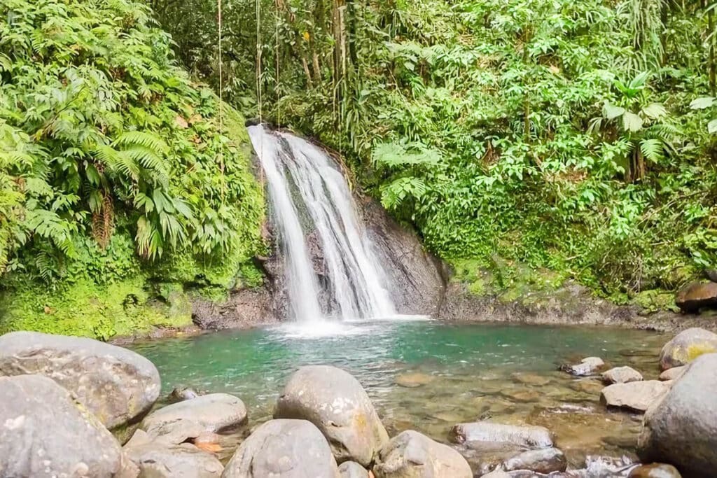 la cascade aux écrevisses