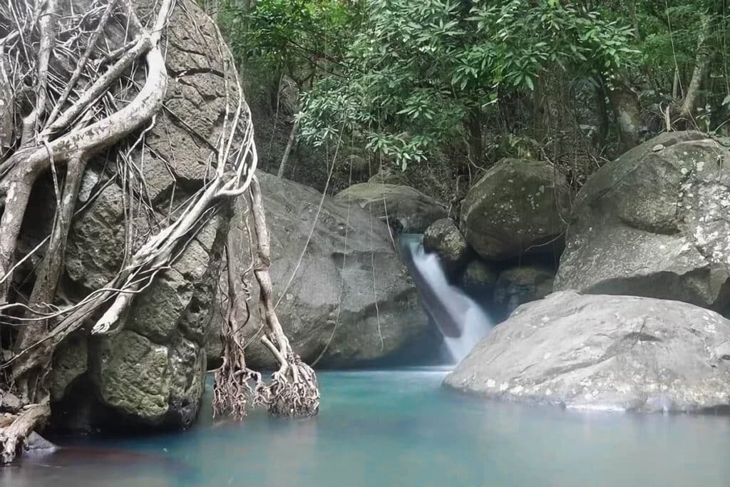 chutes de la rivière Caillou