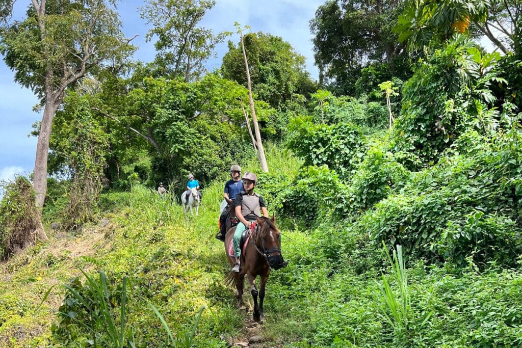 équitation trois rivières