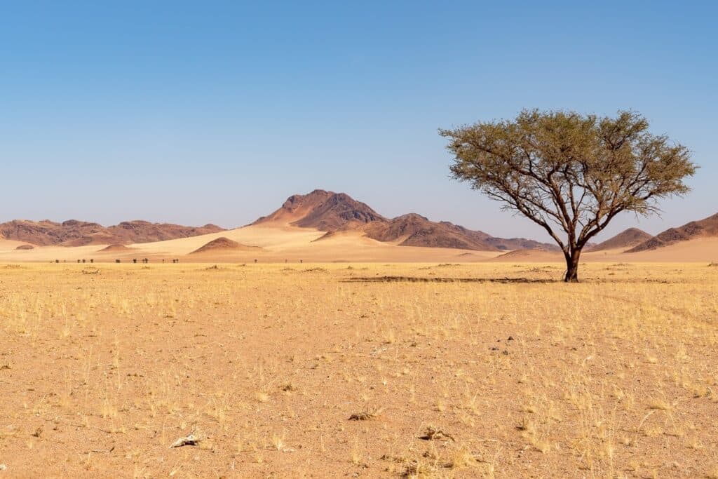 paysage de Namibrand