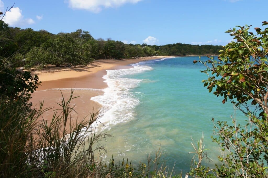 Plage des Amandiers