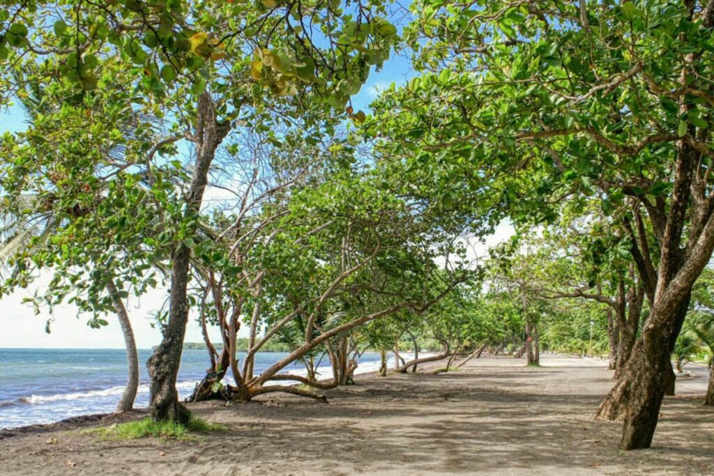 plage de Viard