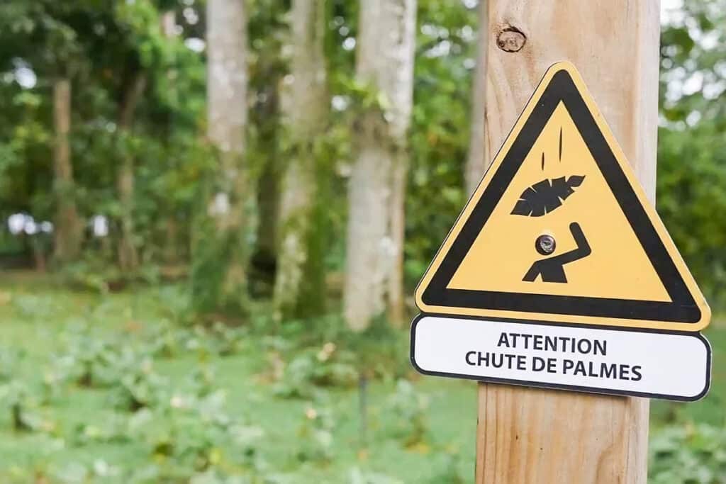 panneau attention chute de palmes