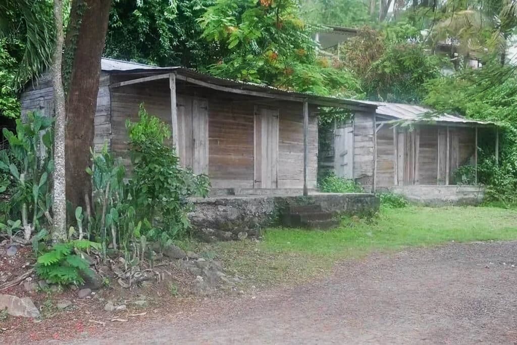 cabanes en bois