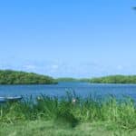 Que faire à Sainte-Rose en Guadeloupe