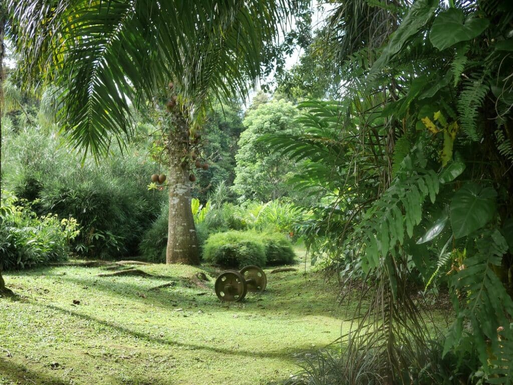 visiter Petit Bourg en Guadeloupe