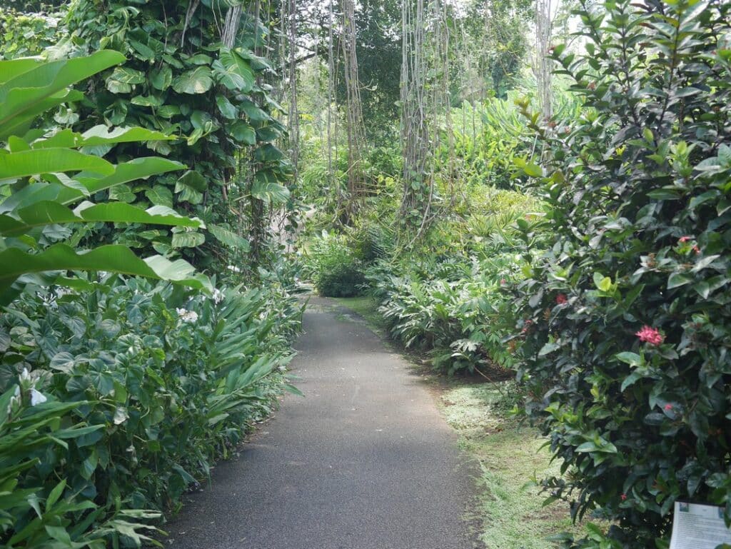 sentier dans le jardin de valombreuse