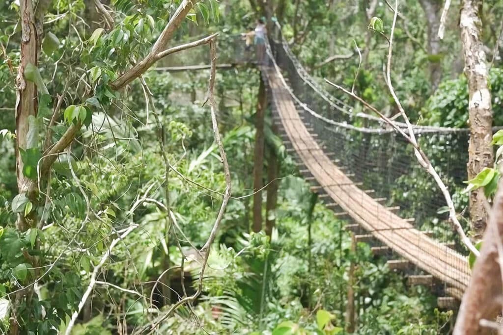 zoo de la guadeloupe