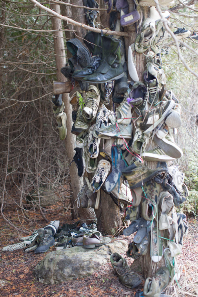 la forêt de chaussures