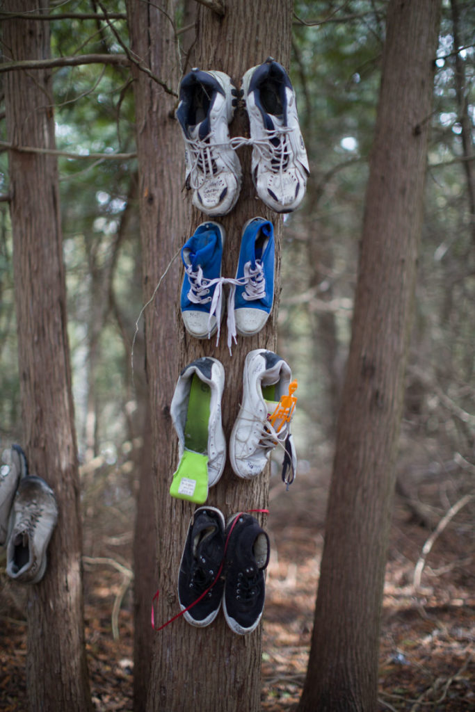chaussures accrochées aux arbres