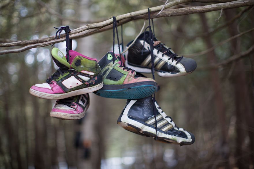 foret de chaussures canada