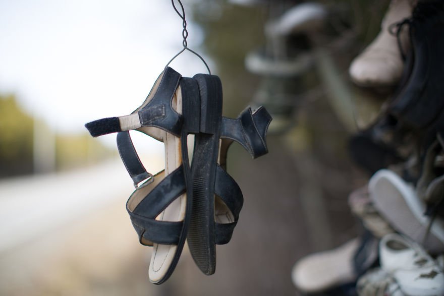 vieille chaussure suspendue à un arbre