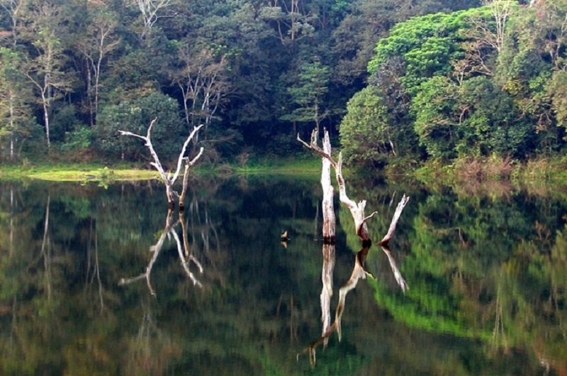 lac Periyar