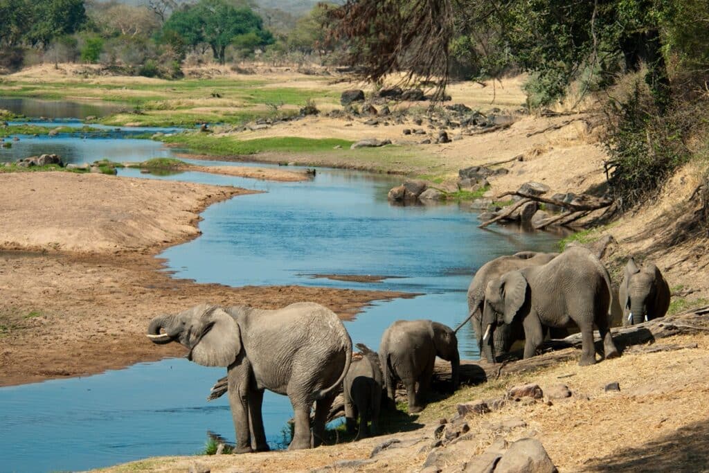 parc national de Ruaha