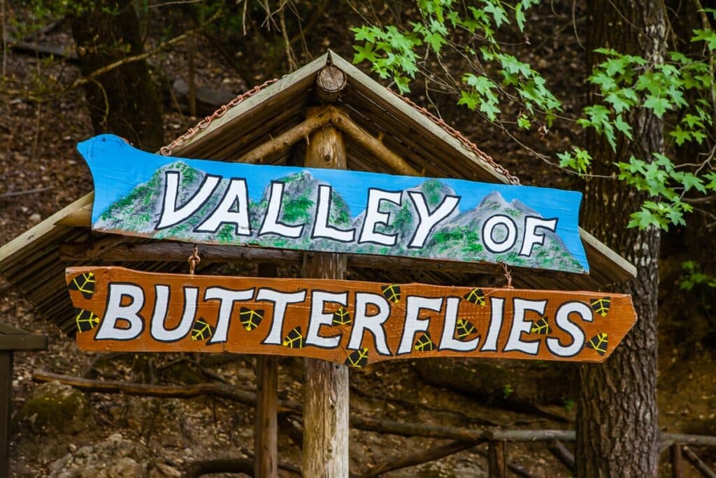 panneau valley of butterflies