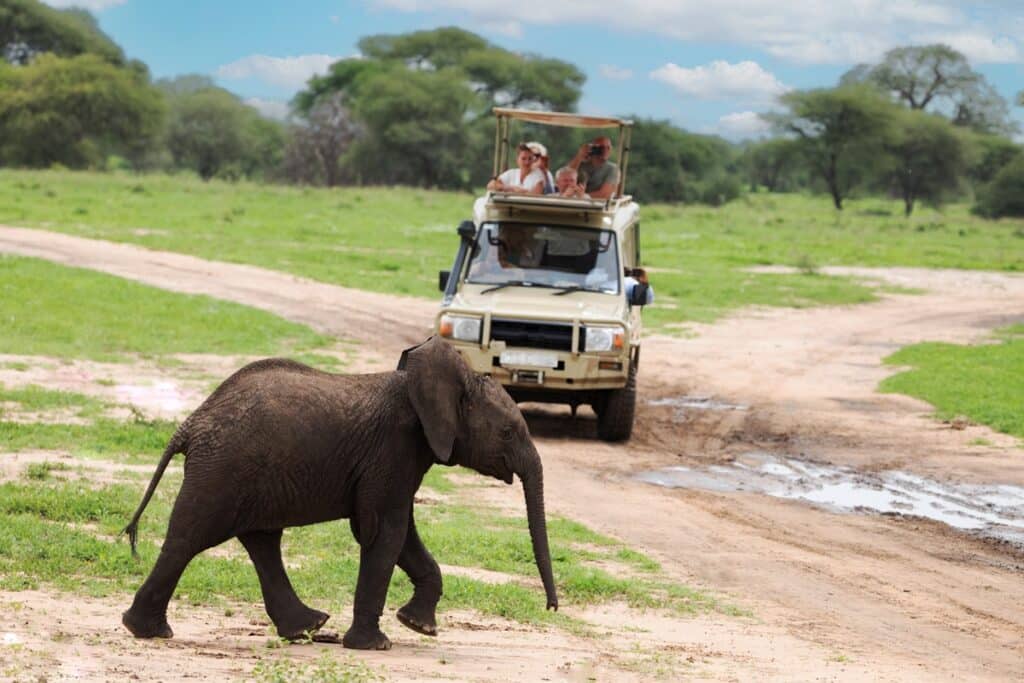 parc national de Tarangire