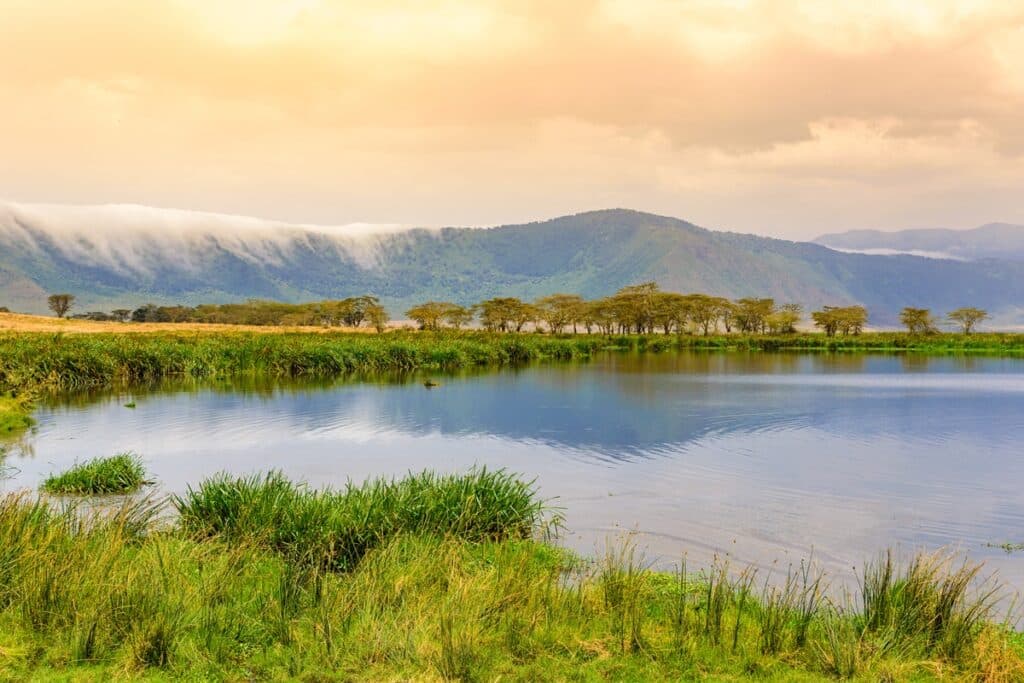 zone de conservation du Ngorongoro