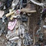 Une mystérieuse forêt remplie de chaussures