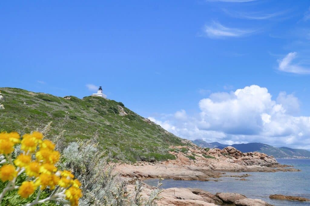 Mezzu Mare îles Sanguinaires