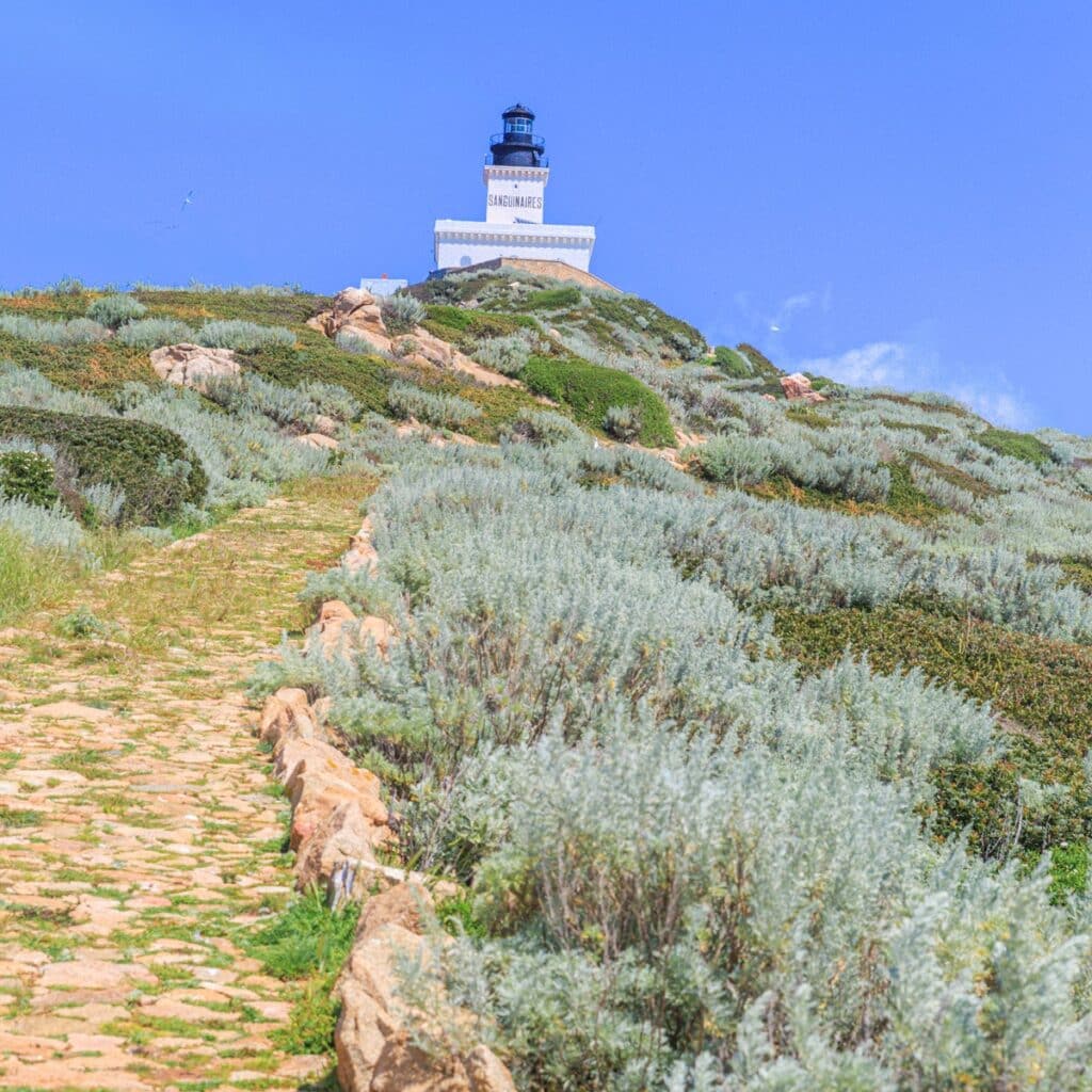 phare des îles Sanguinaires