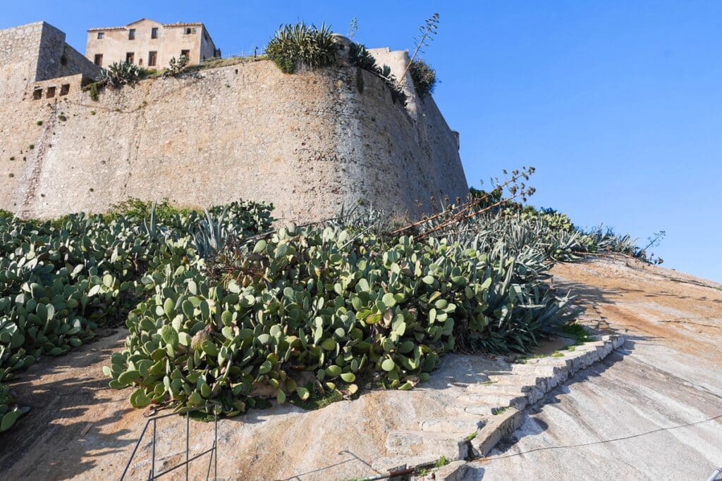 citadelle de Calvie