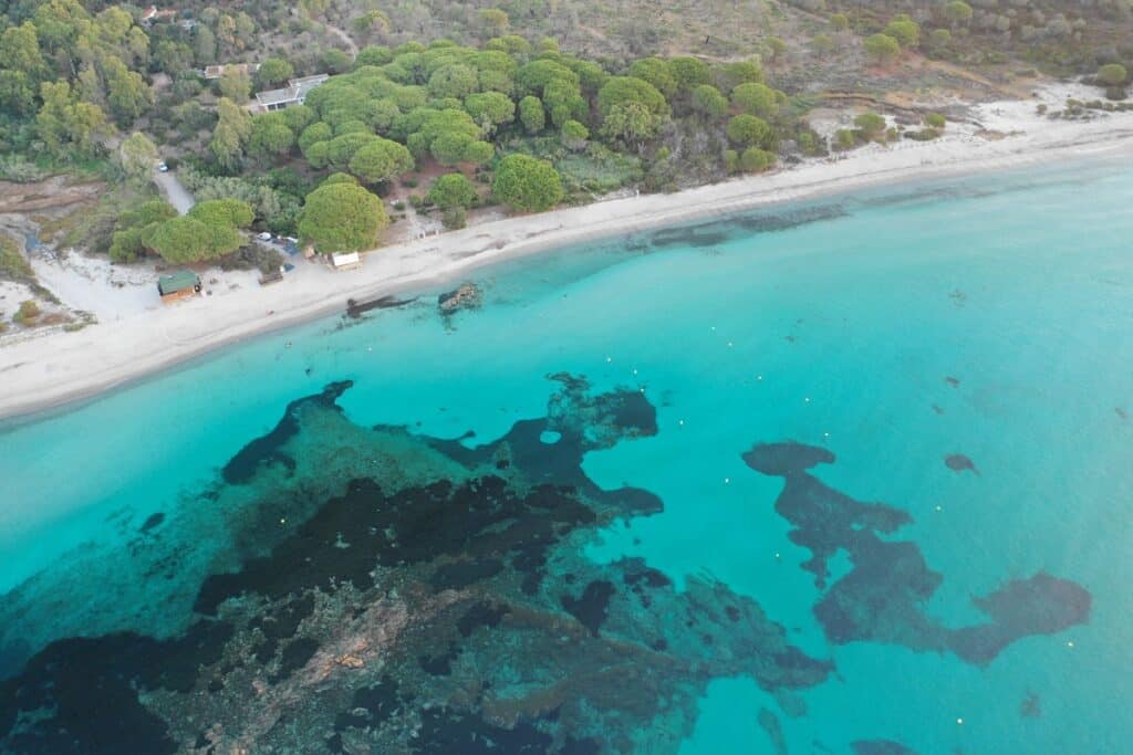 plage de Palombaggia