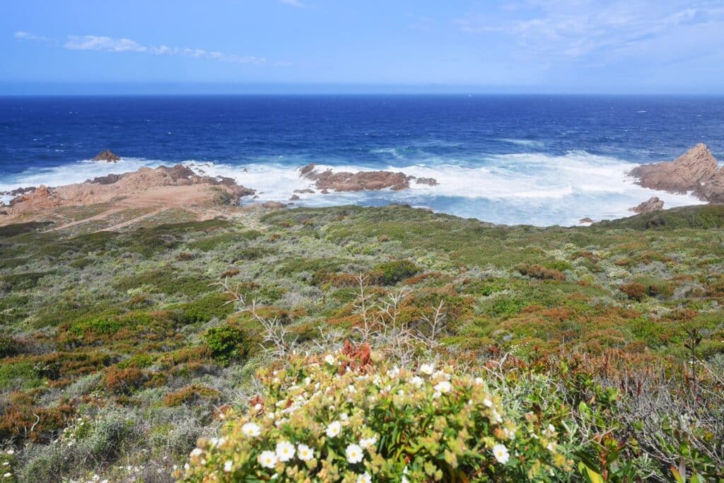 randonnée près de la pointe de la parata