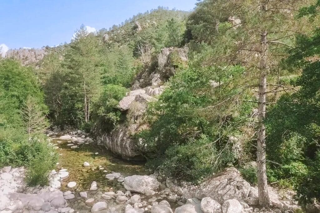 sentier botanique de la Restonica