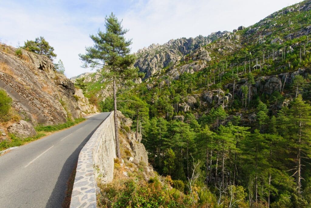 route dans la vallée de la Restonica