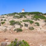 moulin Mattei