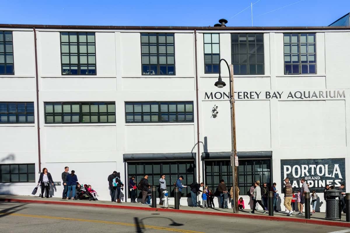 Aquarium de la baie de Monterey