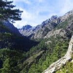 Gorges du Tavignano razndonnée