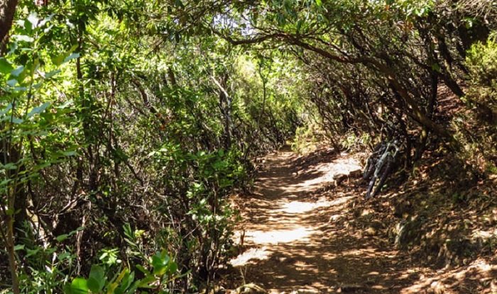 sentier purcaraccia