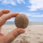 C'est quoi ces boulettes végétales sur les plages corses