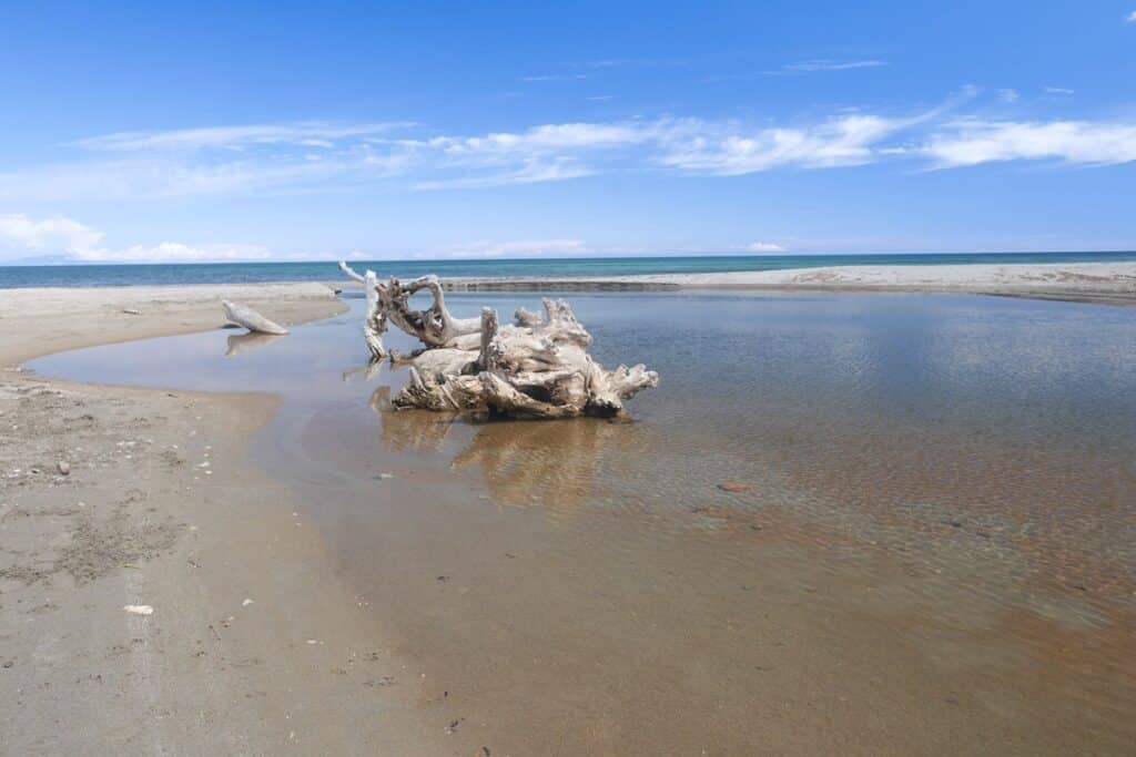 rivière sur la plage