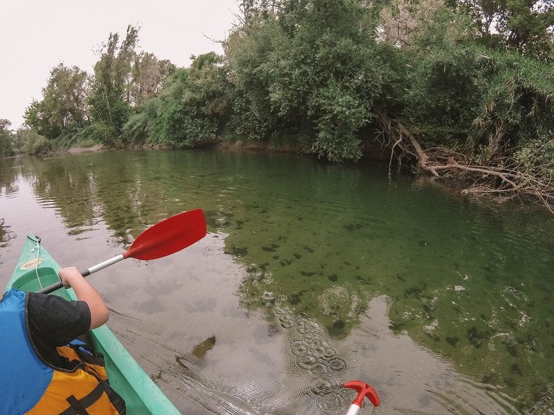 kayak golo lucciana