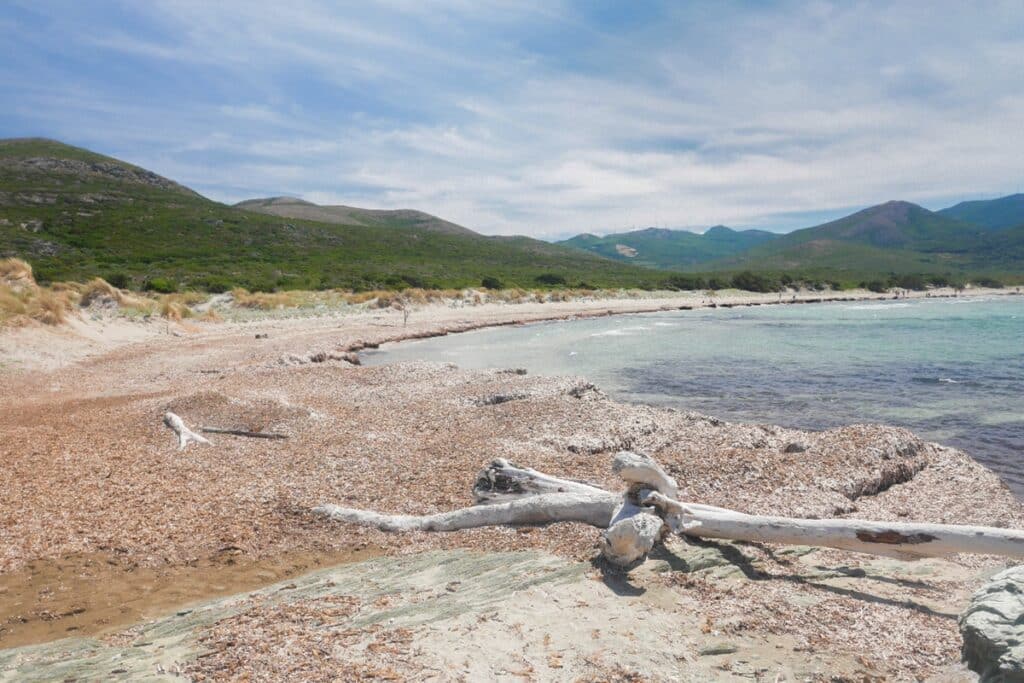 plage de Barcaggio