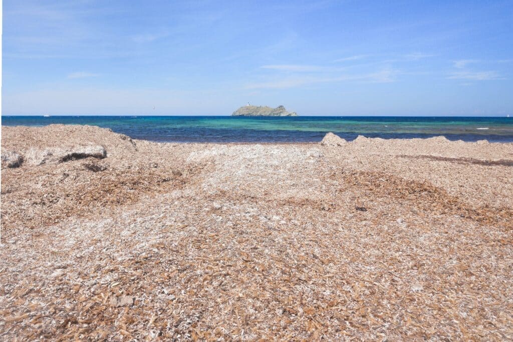 belle plage en Haute Corse