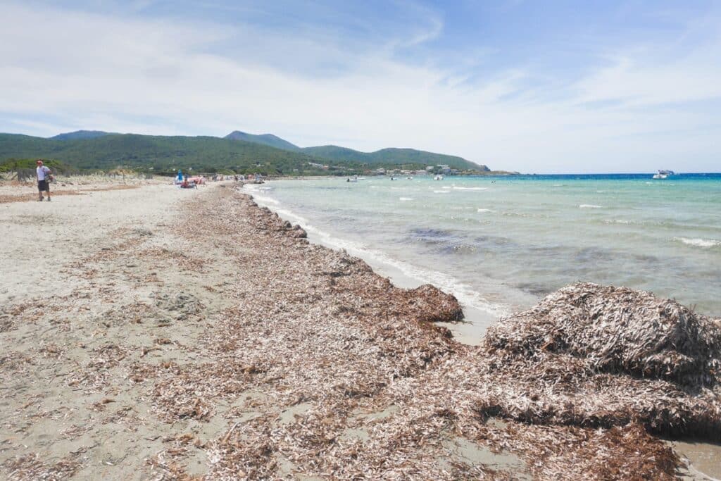 plage de Barcaggio